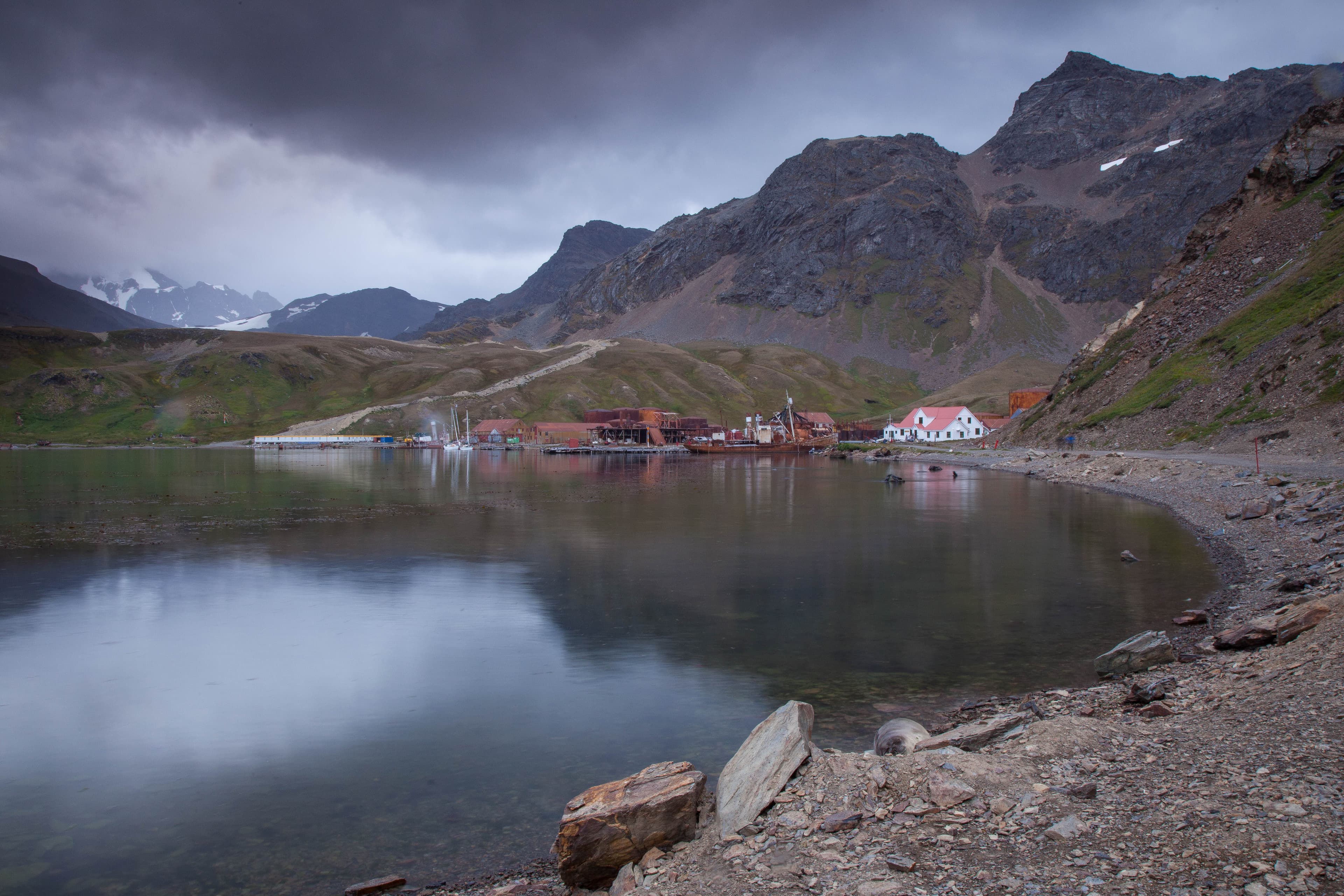 Grytviken, South Georgia